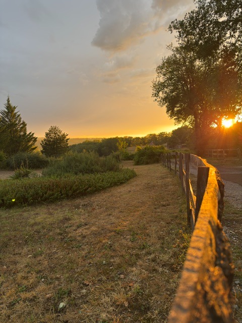 Les bois au coucher de soleil