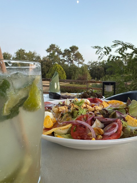 Mojito et salade en terrasse
