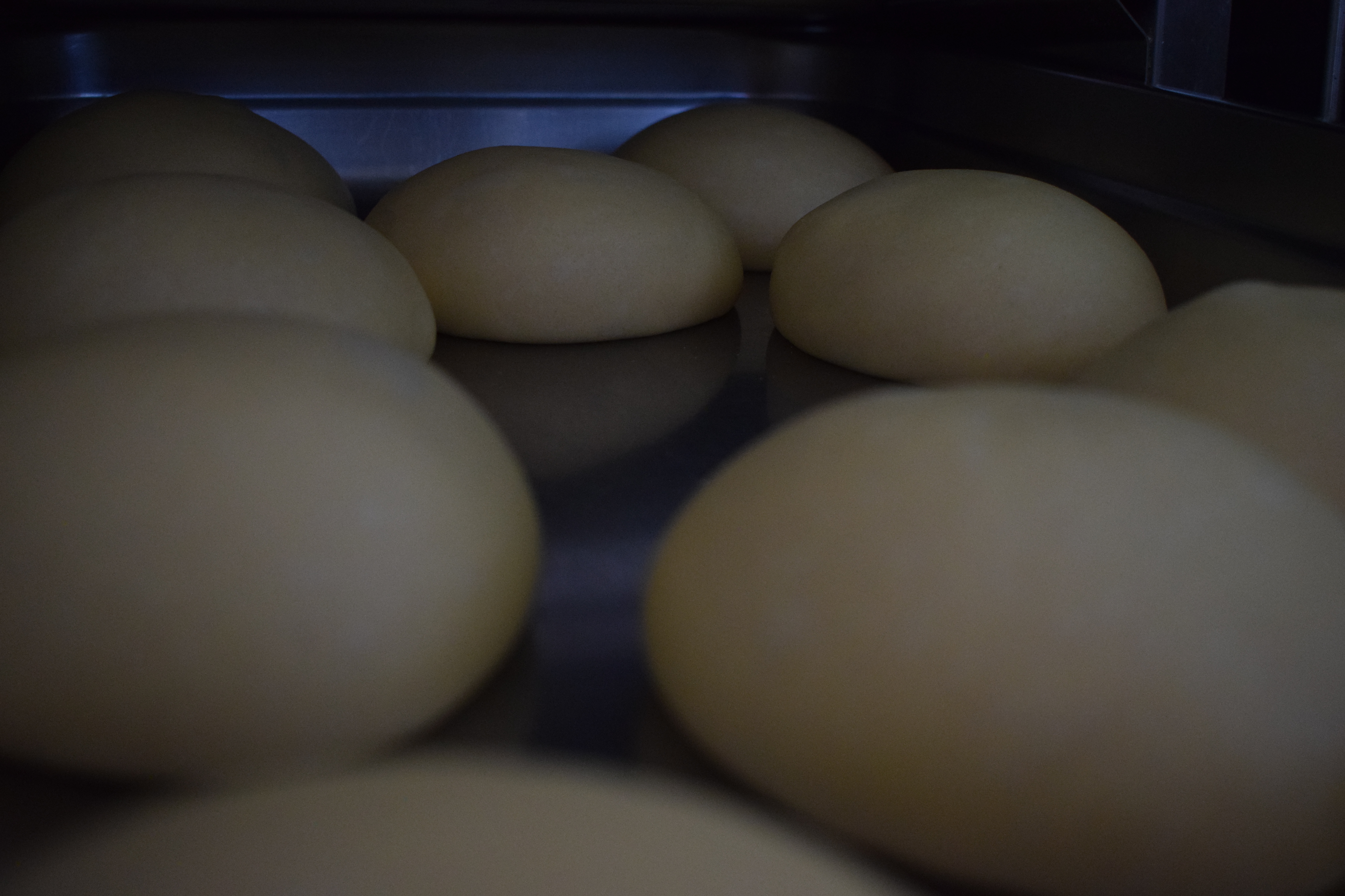 Pâte à pizza maison