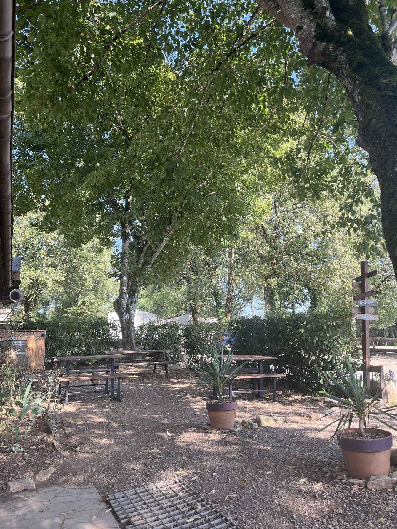 La terrasse de la pizzeria